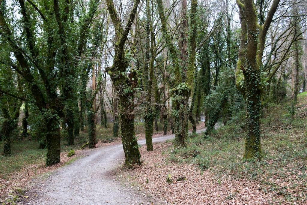 A Casa Da Moreira - Casa Rural En Ponte Maceira ア・コルーニャ エクステリア 写真